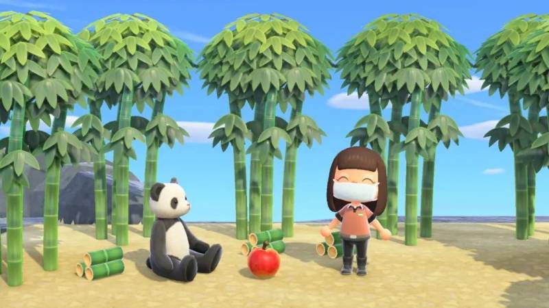 10月1至31日，3至12歲的兒童可以免費進入新加坡動物園，河川生態園及裕廊飛禽公園