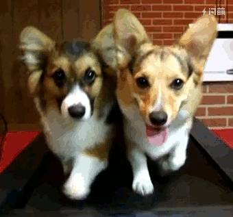 狮城最适合跑步的公园推荐合集，给爱运动更爱生活的你