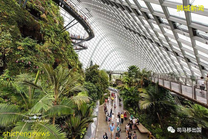 新加坡“花園中的城市”，看看這些巨樹參天的新奇景觀!