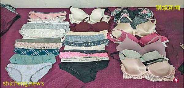 警方电眼捉偷衣贼 搜出25件内在美