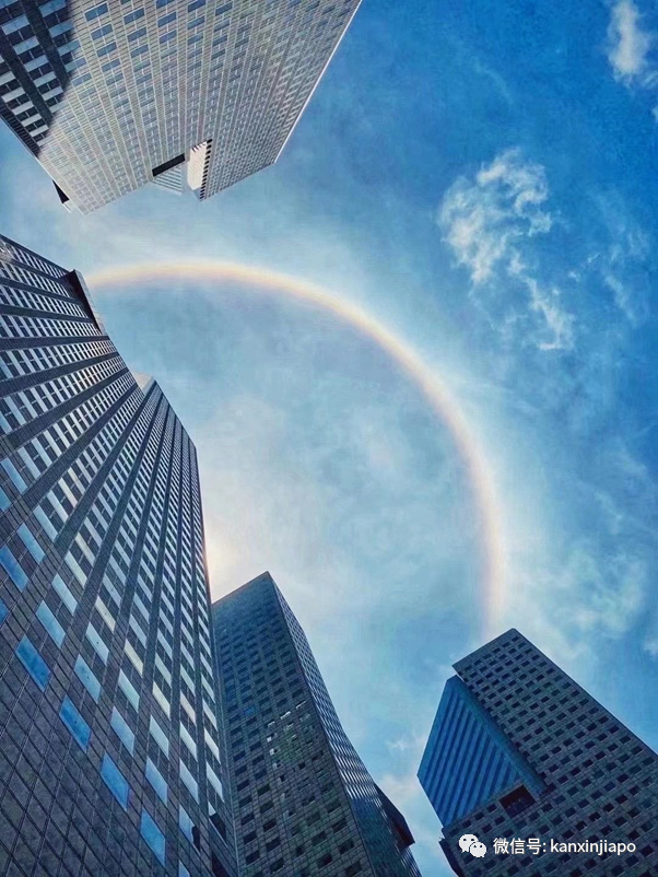 朋友圈刷屏!日晕奇景你们拍到了吗?