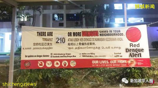 新加坡骨痛熱症9261例,死亡12人!網友敘述得病後的痛苦經曆!