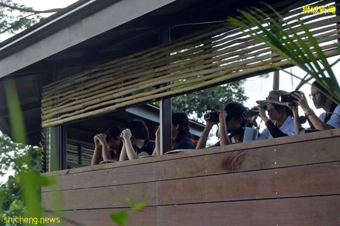 周末帶娃去徒步!10米高木塔、農場、木棧道,湖天一色好美