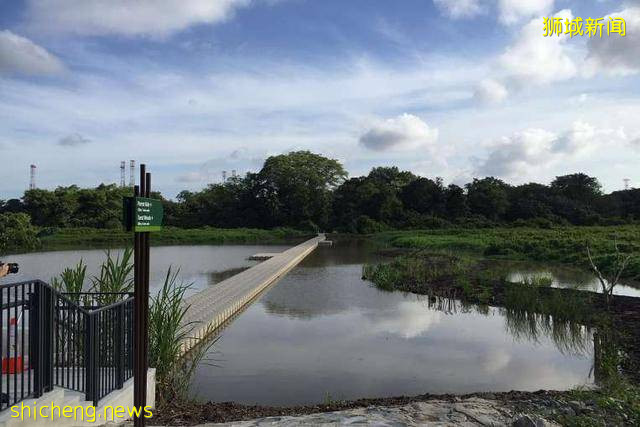 新加坡这样一个弹丸小国为什么能成为发达国家