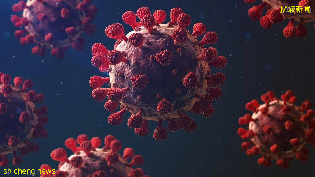 后港组屋的污水中发现新冠病毒碎片,全体居民强制检测