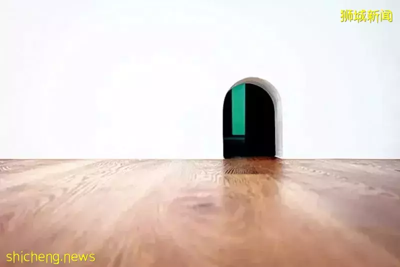 王冠逸入住新加坡新居,兩層樓半房子打造成白雪宮