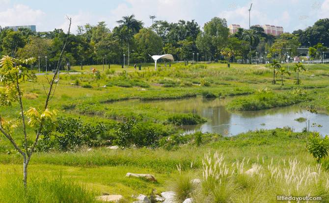 新加坡遛娃指南