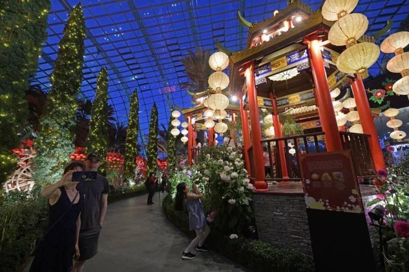 滨海湾花园为迎接鼠年换新装