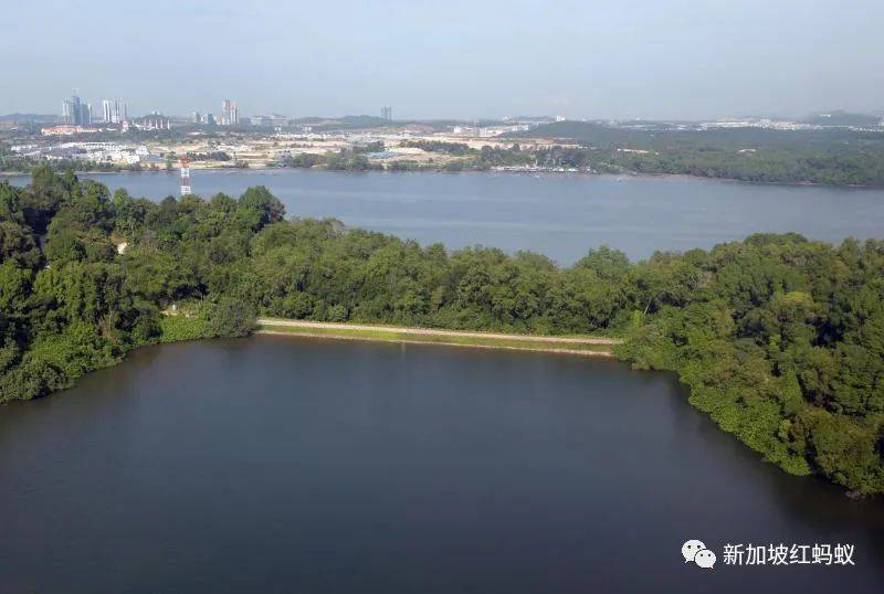 小小的新加坡竟有17個水庫　一個比一個清幽秀麗