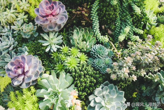 漫遊新加坡,帶孩子去哪玩?