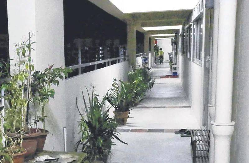 新加坡大叔襲胸，暴揍中年女子，僅被罰款3千元！原因竟然是