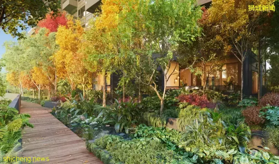 怎样才能在新加坡安居长住?人才落地方案一文秒懂