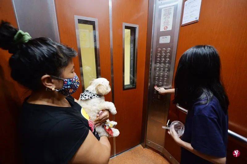 金文泰组屋停电一小时 女童女佣困电梯20分钟