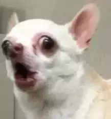 大型社死現場!我在新加坡相親,竟然遇到了中學老師