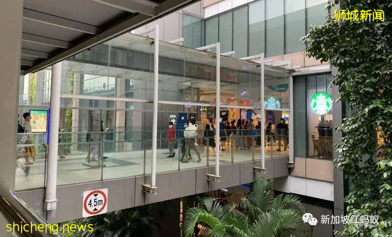 反对党前议员录制福建话视频,分享如何劝说92岁父亲接种疫苗