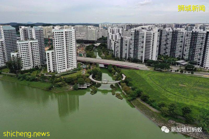 疫情期间我们一家三口在狮城当包裹送货员 才知道没那么简单