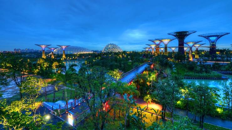 植物还有疗养治愈的功能，“生活总得带点儿绿”