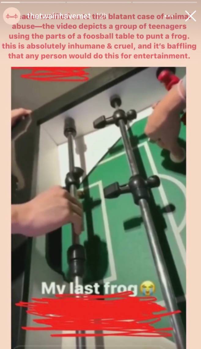 地狱空荡荡恶魔在人间，新加坡青年圣诞节期间滥杀动物取乐