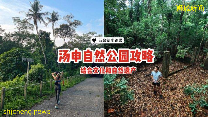 结合自然+文化遗产、汤申自然公园攻略🔎5条徒步路线、可以看到海南村旧建筑+珍稀动物🐒