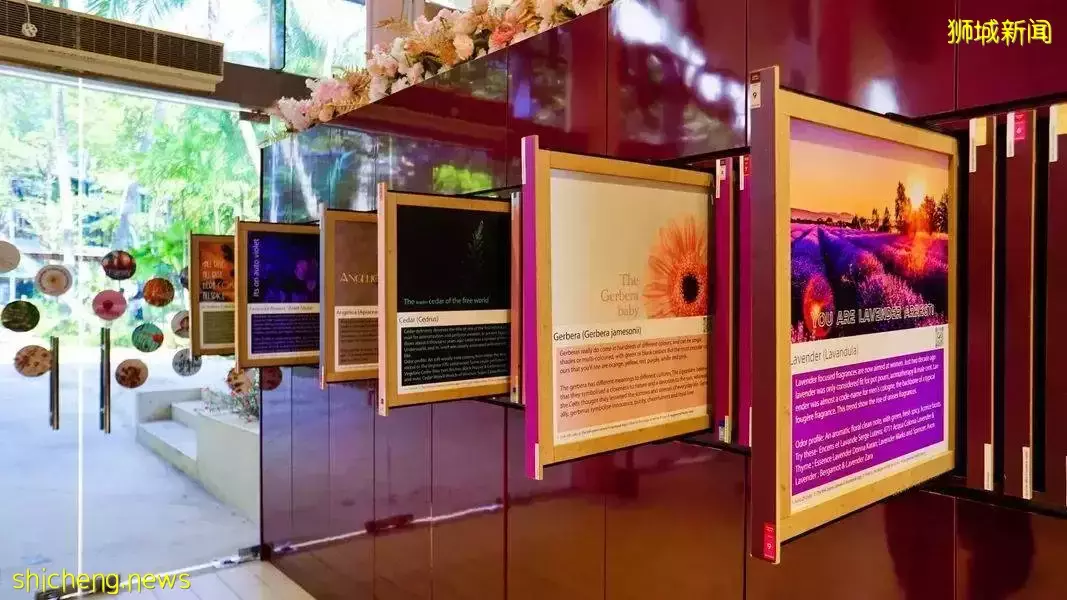 新加坡景点推荐:Scentopia导览游,送给妈妈的挚爱好礼