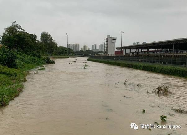晴天大草原,暴雨成黄河!一场豪雨秒懂新加坡排水系统