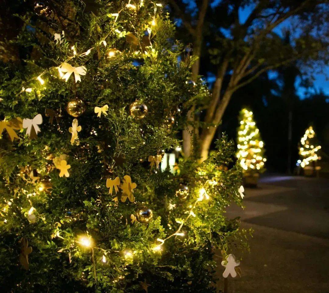 没有跨年烟花秀、派对怎么办?你还有这些跨年活动可以选择