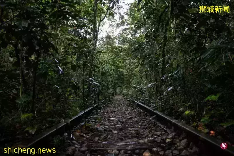 2030年,新加坡人人走路10分钟就能到公园?先去感受一下