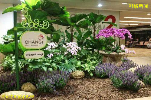 3萬新幣去哪了!是女傭偷了,還是雇主栽贓