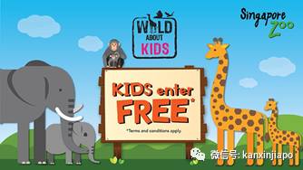 在新加坡怎么过儿童节?10个遛娃地点带你飞起