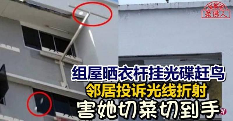 組屋曬衣杆挂光碟趕鳥 鄰居投訴光線折射 害她切菜切到手
