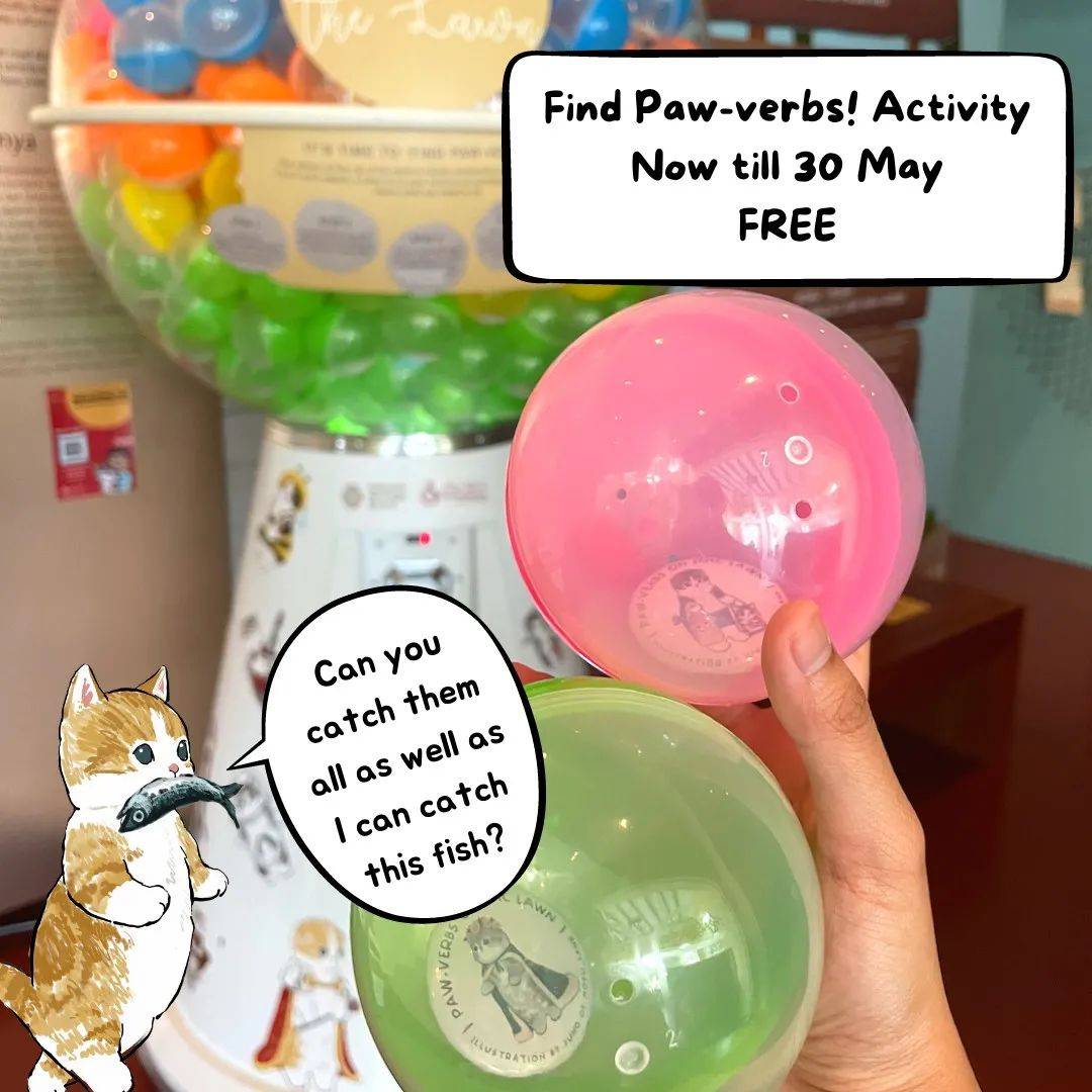 来马来文化馆户外草坪,和“可爱站岗喵星人”一起合个影!本周末还有特别活动