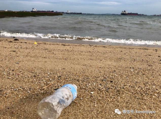 如何从活动小白到组织全城一起搞事情?我给东海岸“洗了个澡”