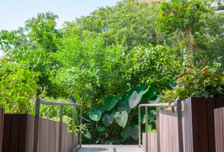 在CBD也可以擁抱綠色自然——細數新加坡那些鬧中取靜的Secret Garden