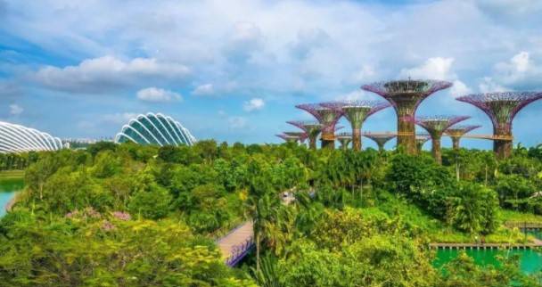 新加坡要让绿色布满每个角落！政府计划10年再增17万棵树