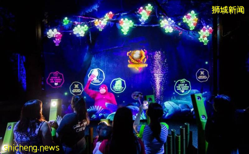 新加坡動物園沉浸式多媒體夜行體驗“RAINFOREST LUMINA”|CAAPA周末分享!
