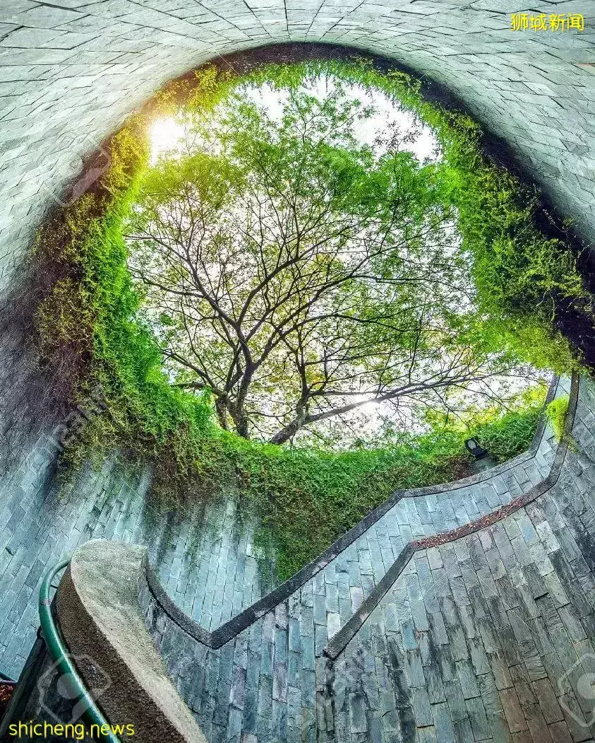 周末不懂要去哪?去新加坡TOP 3自然風光吧