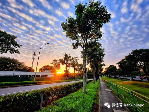 “地震雲”昨早刷爆朋友圈！很少看過這麽“怪異”的朝陽
