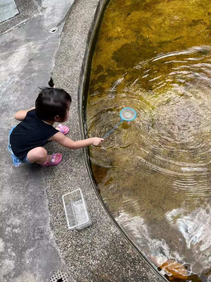 遛娃好去处!捞鱼、鱼疗Spa、参观科普、购买观赏鱼,一站式体验@仟湖渔场