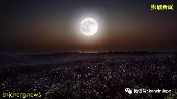 “​草莓月亮”登錄新加坡，今晚8點半以前迎來圓滿時刻