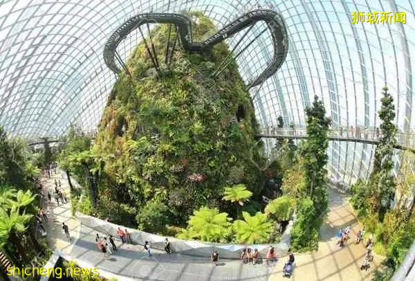 35個最受歡迎新加坡好去處