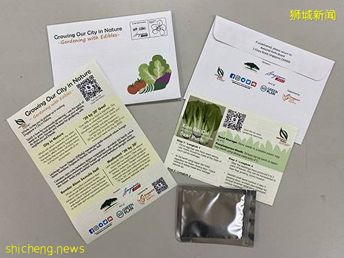 新加坡公园局又派发种子啦！已开放申请！还有教程教你怎么种