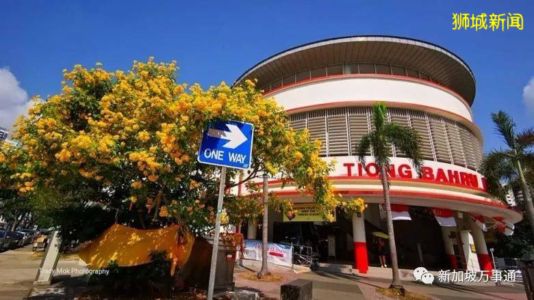 新加坡的“四季”，富有南洋風情的人間煙火氣