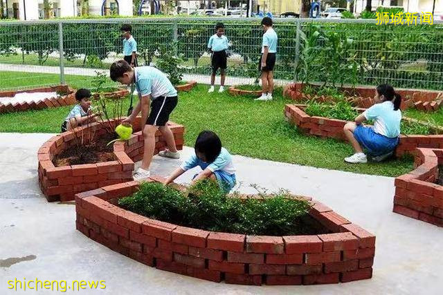 新加坡教育 自然科學讓“愛護環境，從你我做起”真正落實到實處