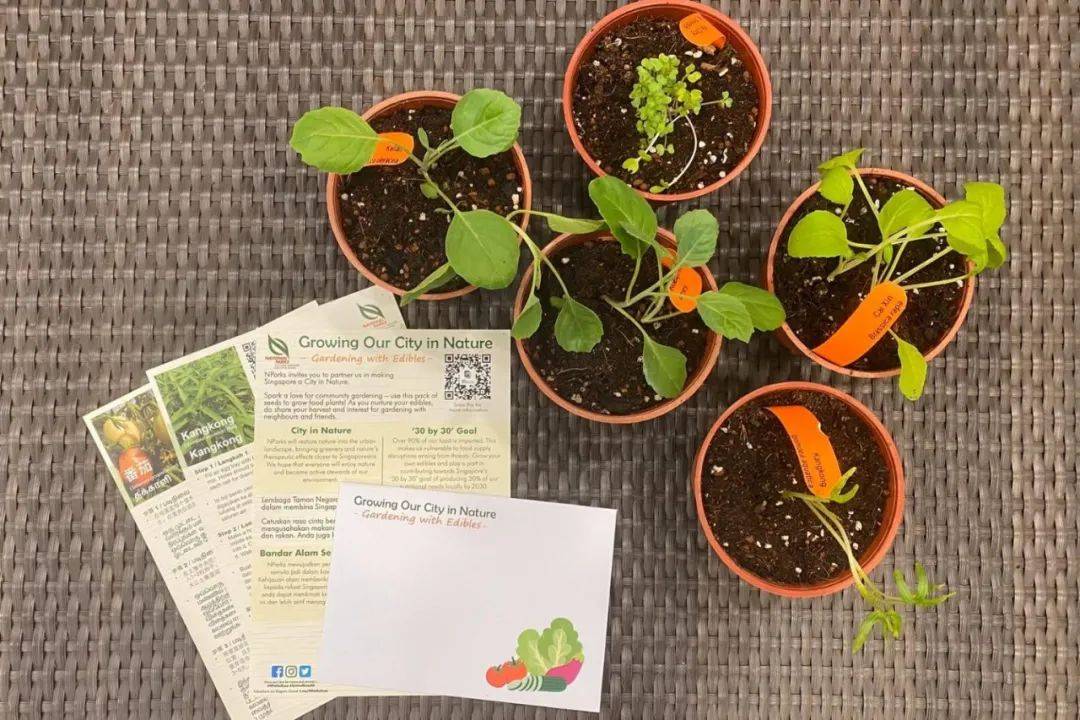 听说你周末又不知道去哪里玩了