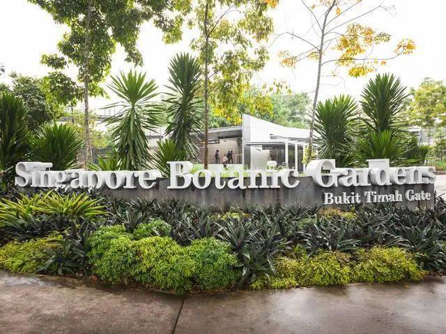 獅城DNA 從荒蕪到花園——新加坡的綠色逆襲之路