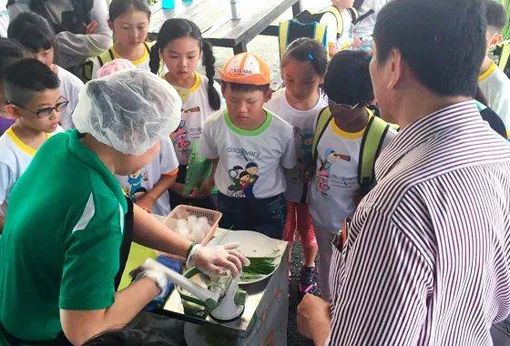 種水稻，摘蘑菇，新鮮蘆荟飲品！藏在新加坡的7大蔬菜農場我找到啦