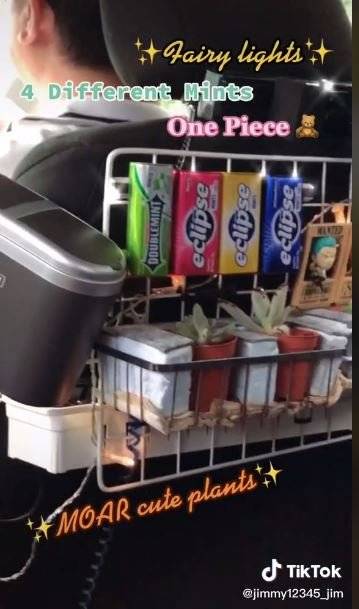 这辆电召车 让搭客宾至如归