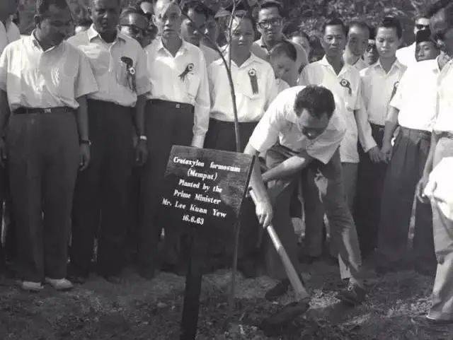 獅城DNA 從荒蕪到花園——新加坡的綠色逆襲之路