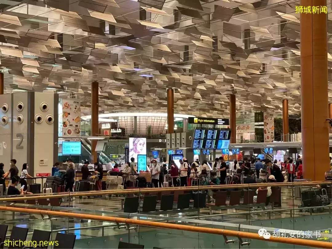 全過程記錄!4月4日從新加坡飛往封城中的上海,入境隔離多圖