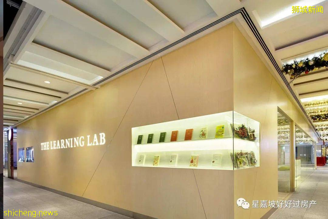 中國嚴打補習俞敏洪痛哭?新加坡補習哪家強